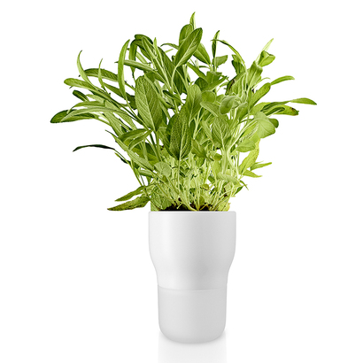 Горшок для растений 15,5x11,5x11,5 см белый Krautertopf Eva Solo