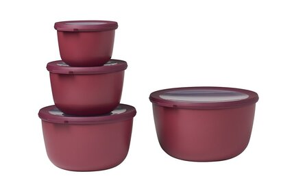 Набор контейнеров высоких 4 предмета Nordic Berry Cirqula Mepal