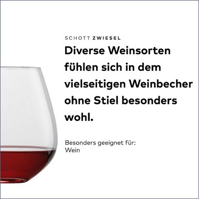 Набор из 6 стаканов виски/вина Schott Zwiesel Vina Whisky 590 мл