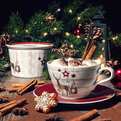 Блюдце к чашке для кофе/чая 16,5 см красное Life Christmas Seltmann Weiden