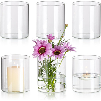 Набор универсальных ваз 6 предметов Glasseam