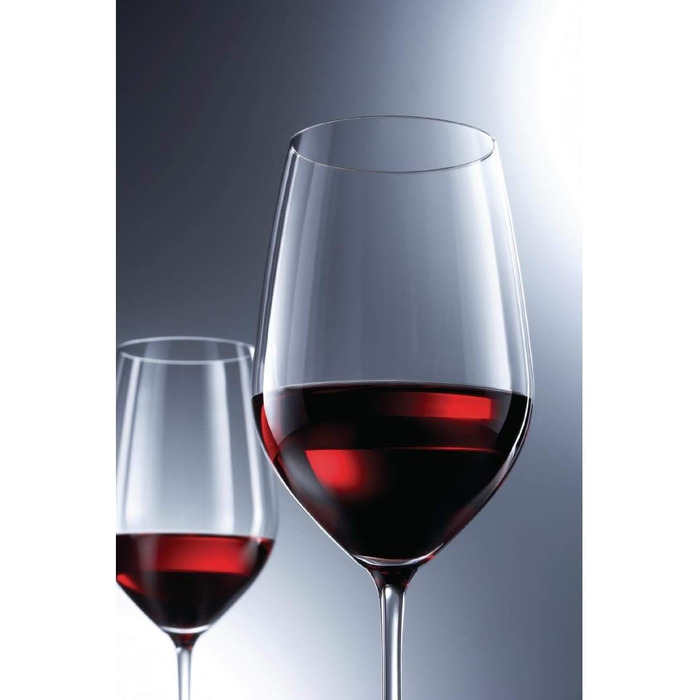 Набор из 6 бокалов для вина 404 мл  Schott Zwiesel Vina Burgundy 