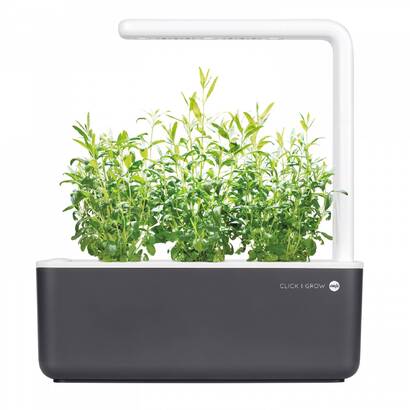 Горшок для растений 30х12х21 см серый Click & Grow Emsa