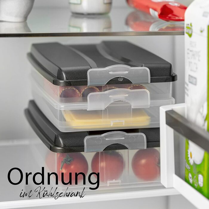 Набор органайзеров для холодильника с крышкой 5 предметов Hausfelder