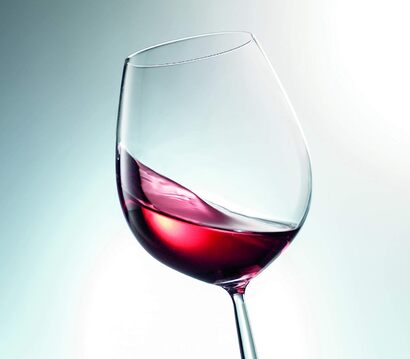 Набор из 6 бокалов для красного вина Schott Zwiesel Diva 460 мл